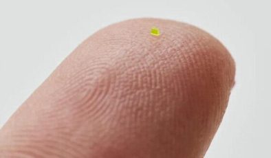 Dünyanın en küçük çantası 63 bin dolara satıldı! “Mikroskobik El Çantası”