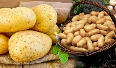 Kızartmalık ile yemeklik patates ortasındaki fark nedir?Kızartmalık patates ile yemek yapılır mı
