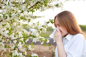 “Astımlı bireyler polen alerjisine dikkat etmeli”